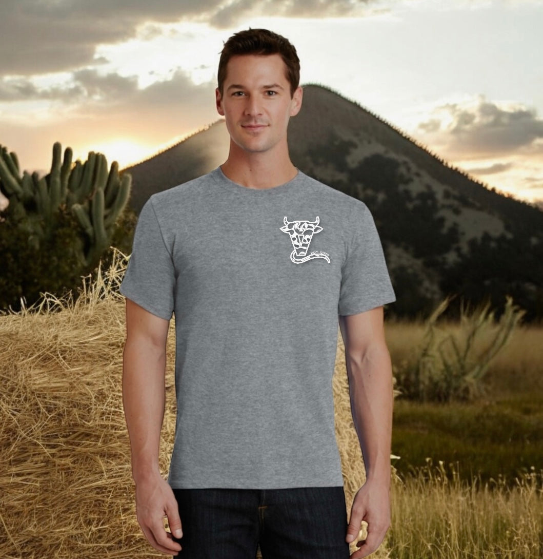 shirt GRAY TEXAS